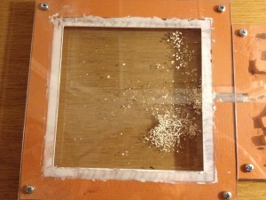 Dernier nid pour Formica fusca, photo (25).JPG