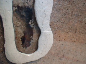 [Blog] 4 gynes ça fait beaucoup. Sauf chez Myrmica., Picture 175.jpg