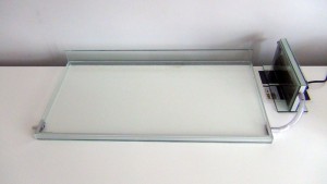 [Blog] Camponotus festinatus (Libertango), file0.jpg