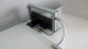 [Blog] Camponotus festinatus (Libertango), file1.jpg