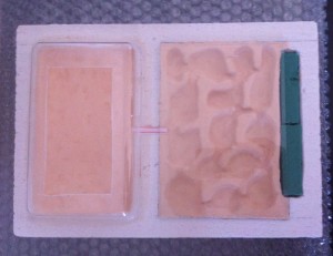 Nouveau nid en béton cellulaire, [Blog] Lasius emarginatus d'Elcia
