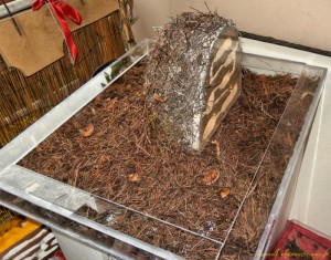 dome, Mes nouvelles créations