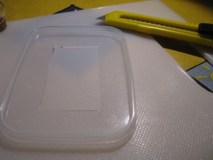 Découpage du couvercle de l'ADC, Gradient de pléométrose chez des Lasius sp noires