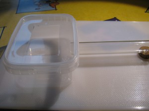 Vue générale de l'ADC à ce stade de la construction, Gradient de pléométrose chez des Lasius sp noires