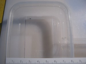 Mesure du découpage du couvercle de l'ADC, Gradient de pléométrose chez des Lasius sp noires