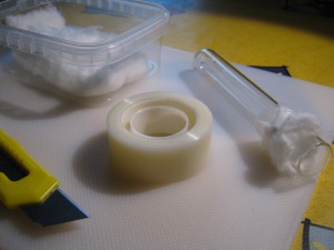 Fixage de l'ouate sur le bord du tube à essai, Gradient de pléométrose chez des Lasius sp noires