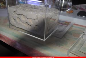 Mon prototype de biorama !, dsc_0220.jpg