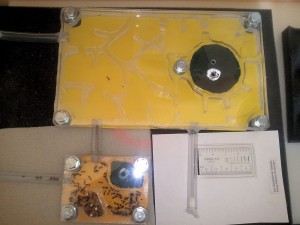 01, [Blog] Les colonies de PasPayer