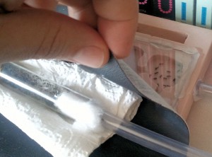 04, [Blog] Les colonies de PasPayer