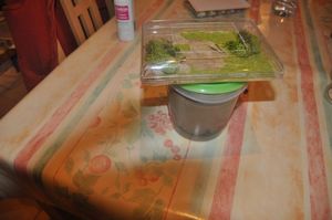 Mon prototype de nid a sable, dsc_0224.jpg