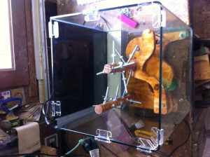 Vue du dessus sans les &quot;porte-tubes&quot;, Arbre à tubes pour Oecophylla