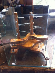 Arbres vernis sans les &quot;porte-tubes&quot;, Arbre à tubes pour Oecophylla