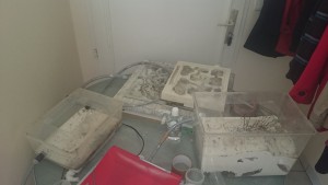 vue d'ensemble, Les conceptions de Mrpatate