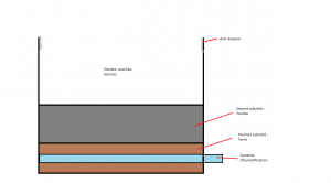 Prototype, Expérience d'élevage d'une colonie en semi-liberté