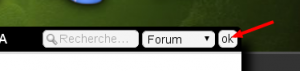 Formulaire de recherche, Vos problèmes liés à l'utilisation du site : bug...