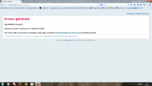 Screenshot de la page d'erreur, Vos problèmes liés à l'utilisation du site : bug...
