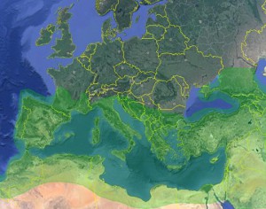 2, [Q/R] Fiche Pheidole pallidula