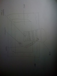 Température Lasius, unnamed.jpg