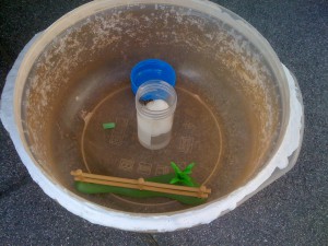 ADC., Ma fondation Lasius. noire