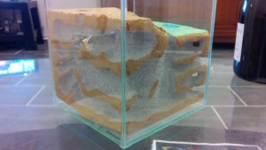 Peinture profil 1, Mon premier nid, en béton cellulaire et éclairage