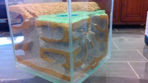 Peinture profil 2, Mon premier nid, en béton cellulaire et éclairage