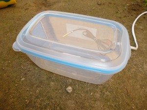 La boite., Faire hiverner ses fourmis dehors