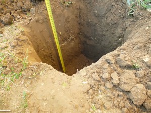 Le trous., Faire hiverner ses fourmis dehors