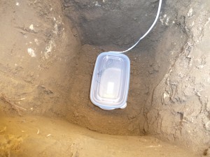 La boite au fond., Faire hiverner ses fourmis dehors