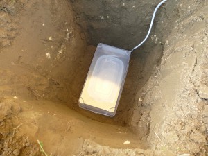 Deuxième boite., Faire hiverner ses fourmis dehors