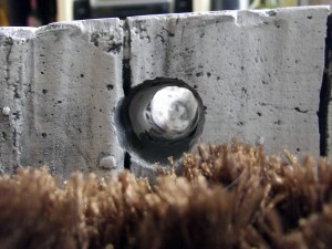 Vue n°5, **Fin** [Blog] Camponotus fulvopilosus