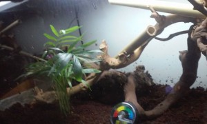 la troisième (je ne savais pas quoi mettre dans description donc...), 