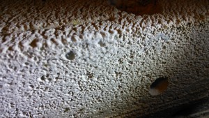 Moisissure (?) sur nid en BC, IMG_20150112_205730[1].jpg