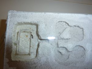 [BLOG]Solenopsis cf fugax par Zoura, P1020942.JPG
