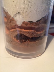 Une des galeries où sont retranché ces demoiselles., [Blog] Mes Plagiolepis pygmaea