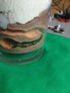 Colonie autre vue., [Blog] Mes Plagiolepis pygmaea