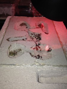 Le nid, [Blog] Formica fusca de faklzefh