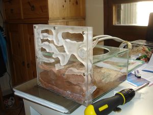 Nid vertical en plexiglas et ADC, DSC07465.JPG