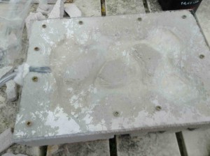 Avec la vitre, 1er nid expérimental succès et échecs