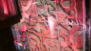 petit apercu degeulasse, Nid Imprimable