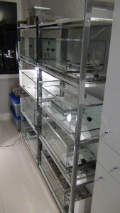 &quot;LibertHLM&quot; - Mars 2012, Vos "laboratoires", vos installations d'élevage...