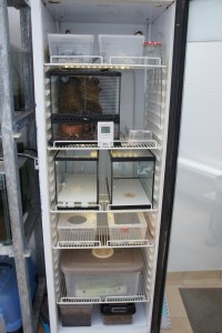 installation, Vos "laboratoires", vos installations d'élevage...