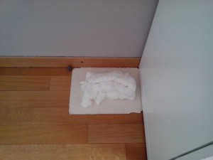 Voici le nid de fondation enveloppé de coton pour l'obscurité et un peu d'intimité.