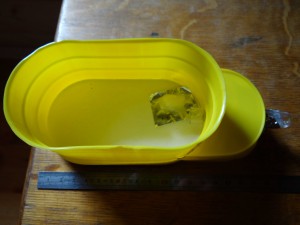 L'ADC de ma Manica rubida, [Blog] Manica rubida, attention les piqûres !