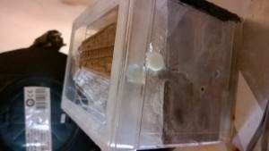 Mon nid, et ma 1ère mini colonie, Un nouveau départ