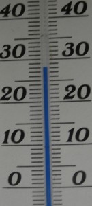 Dès que j'ai atteins les 30°, j'ai coupé le chauffeur (j'ai bien entendu fermer la porte), puis j'ai laissé refroidir tout doucement comme une fin d'après-midi. Car j'ai allumé à midi, et coupé à 16h. La température affichée est la température de la pièce en ce moment même., [Blog] Le début d'une grande histoire - Lasius cf niger