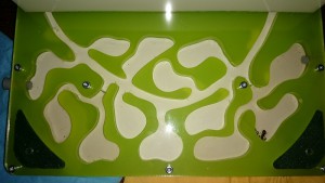 Fourmilière de Bratisla et Cie., [Blog] Lasius niger de Kiouna baptisées Bratisla et Cie