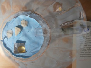 Installation gyne 3 avec ADC/ADF. \o/, [Blog] Le début d'une grande histoire - Lasius cf niger