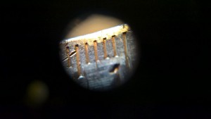 Photo macro téléphone 2, Macrophoto avec Téléphone portable : Hack lentille DVD