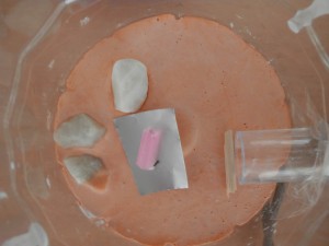Plus de morte/bizarre exemple : Ouvrière gyne 5 dans son ADC., Comportement étrange Lasius cf niger [Talc toxic]