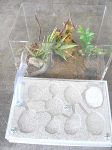 nid3, 1 er nid plexi BC